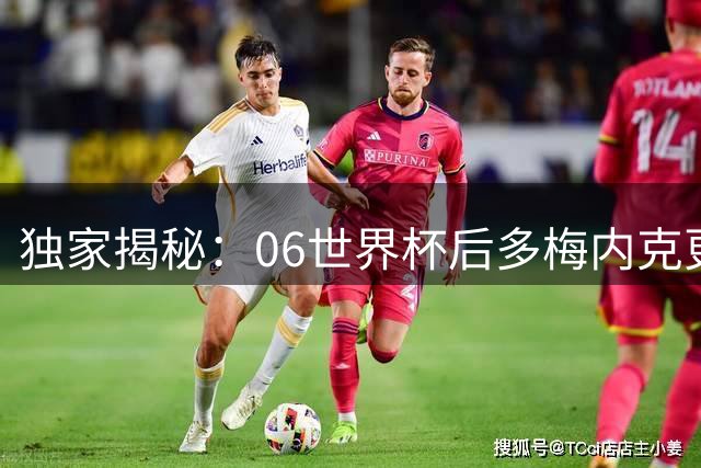 独家揭秘：06世界杯后多梅内克更衣室特殊安排 齐祖获全队致敬